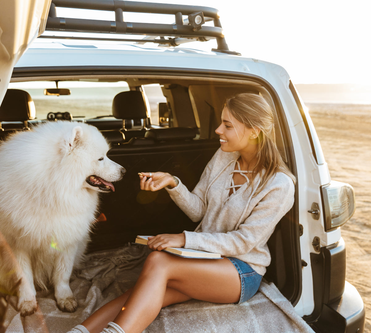 Buchtipps für den Sommerurlaub: die schönsten Romane über Hunde