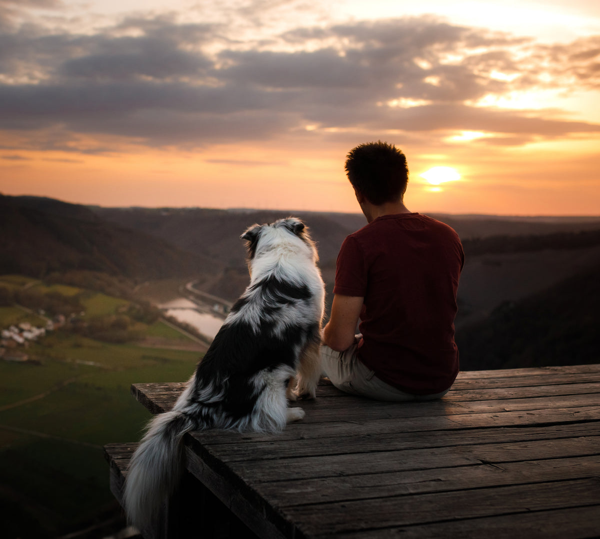 Von der engen Bindung zwischen Mensch und Hund