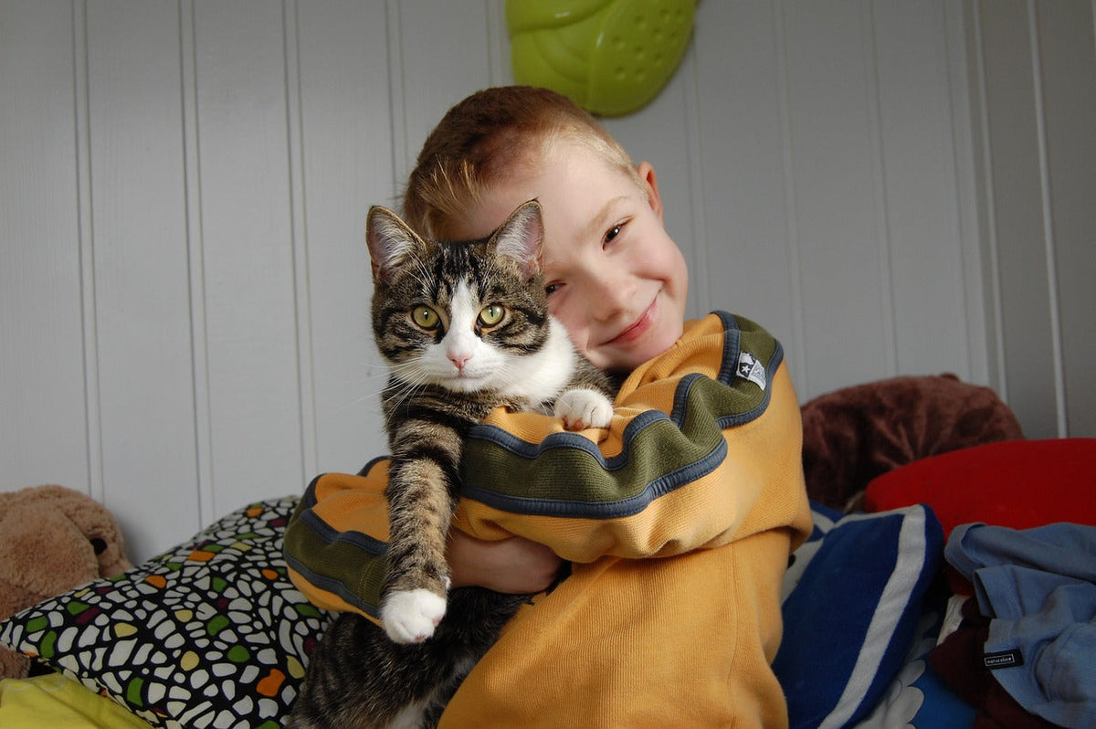 Katzen und Kinder