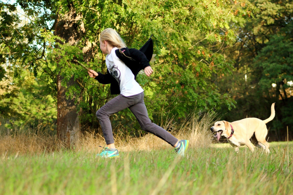 Hund und Katze