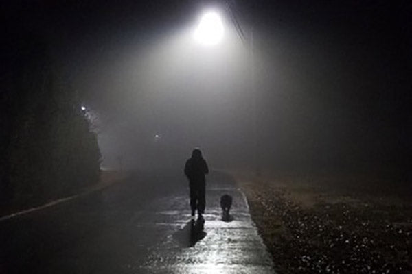 Gassi gehen im Dunkeln: Sicher durch die dunkle Jahreszeit