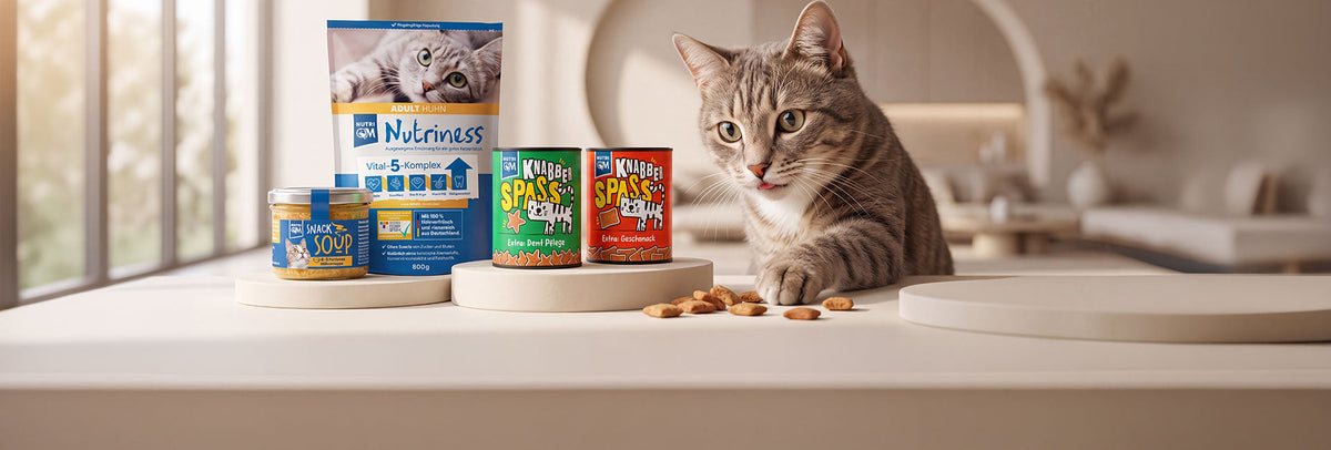 Für Katzen
