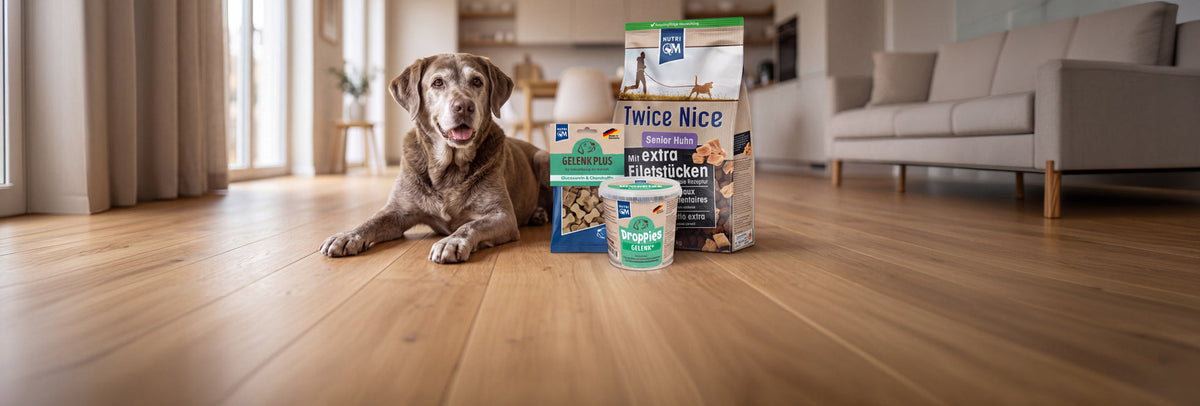 Produkte für ältere Hunde