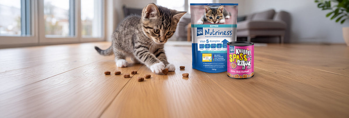 Produkte für Kitten
