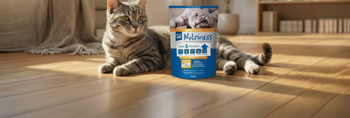 Nutriness von NutriQM
