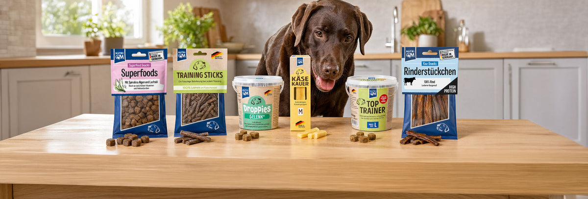 Snacks für Hunde