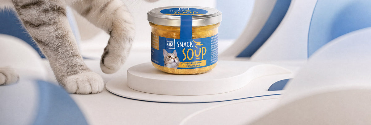Snack Soup für Katzen