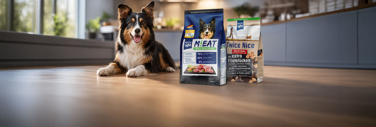 Trockenfutter für Hunde