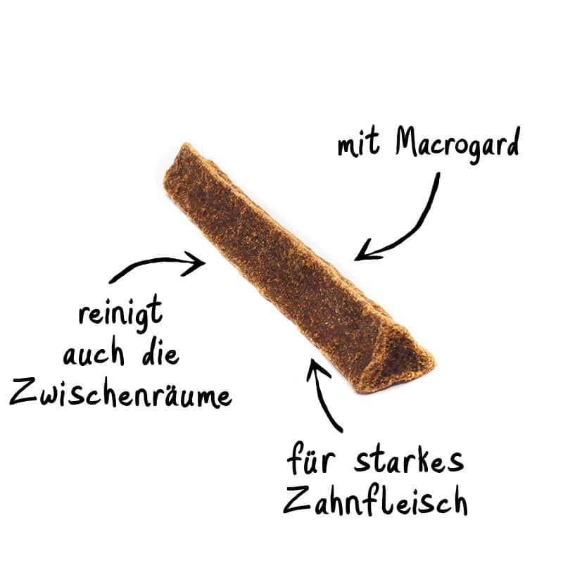 Kausnack Hirsch
